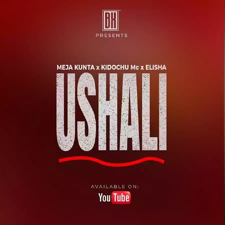 Meja Kunta x Kidochu Mc Dogo Elisha - Ushali Mp3 Download